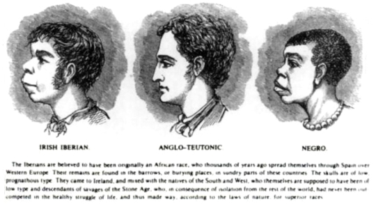 scientific_racism_irish-1899